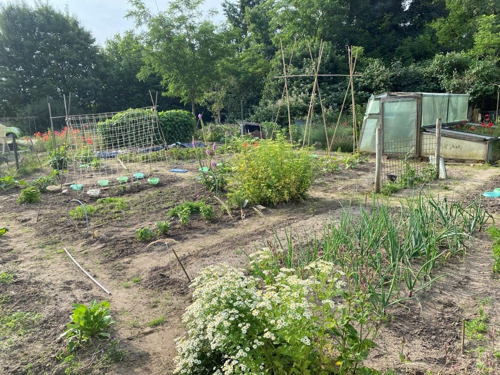 Moestuinen Bronsbergen
