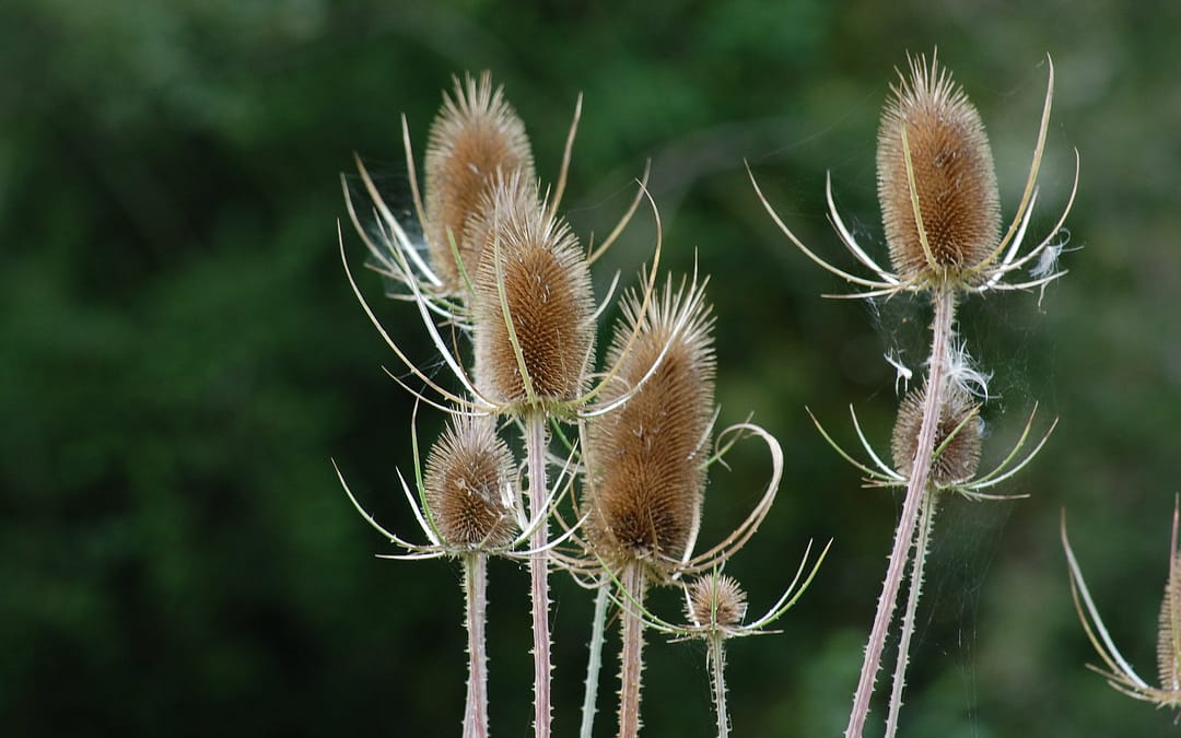 Zitten met iets moeilijks. Uurtje Mindfulness 8 november